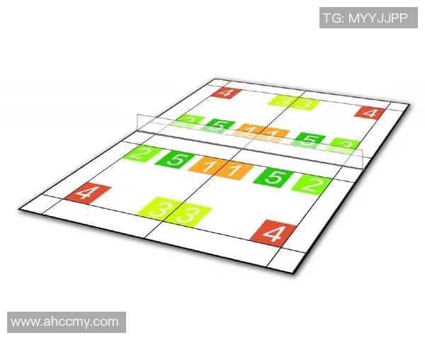深圳羽毛球队反击战术全面解析与实战应用探讨